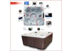 Профессиональный гидромассажный бассейн Joy Spa JY 8015